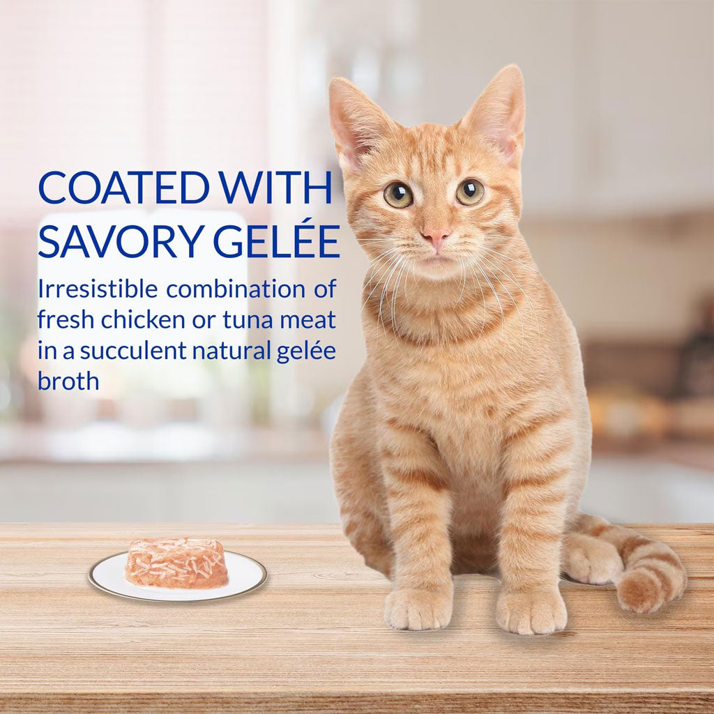 Inaba Twins Tuna & Chicken Recipe Grain-Free Cat Food, 1.23-oz