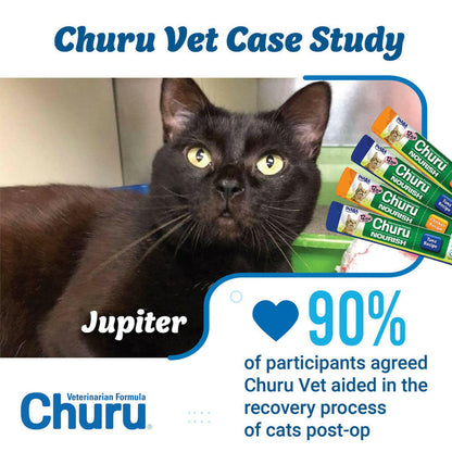 INABA Veterinarian Formula Churu Nourish, Chicken & Tuna Recipe Lickable Treats for Cats