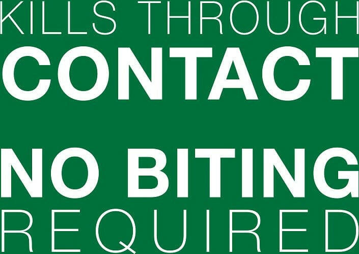 Advantage II Flea Control for Small Cats (5-9 lbs) Orange Box