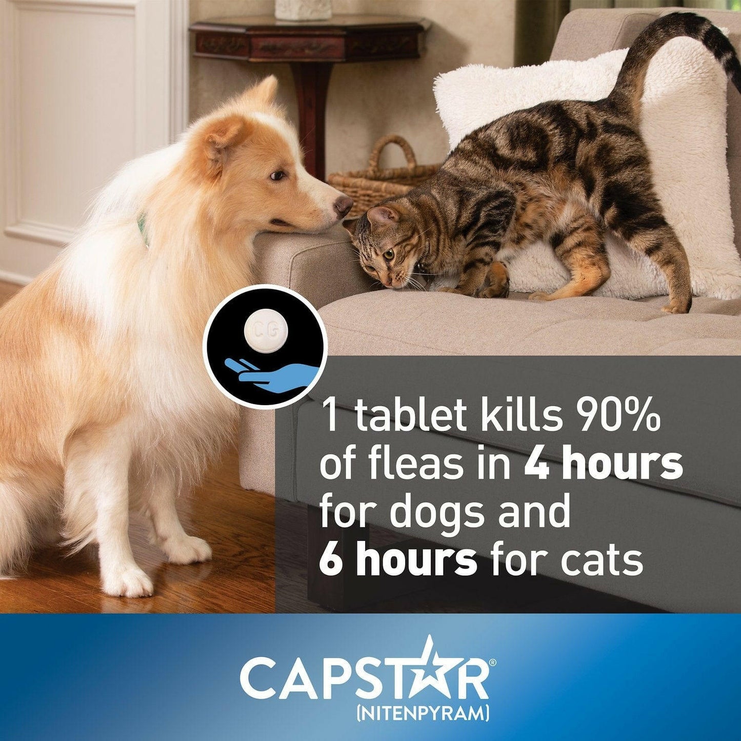 Capstar Oral Flea Treatment for Dogs over 25 lbs (6 Doses)