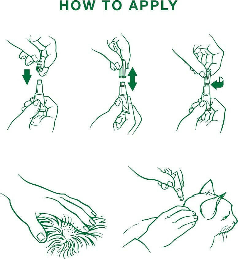 Advantage II Flea Control for Small Cats (5-9 lbs) Orange Box