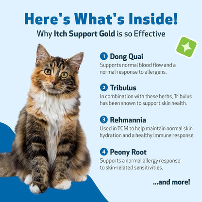 Itch Support Gold - For Allergy-Related Itch in Cats