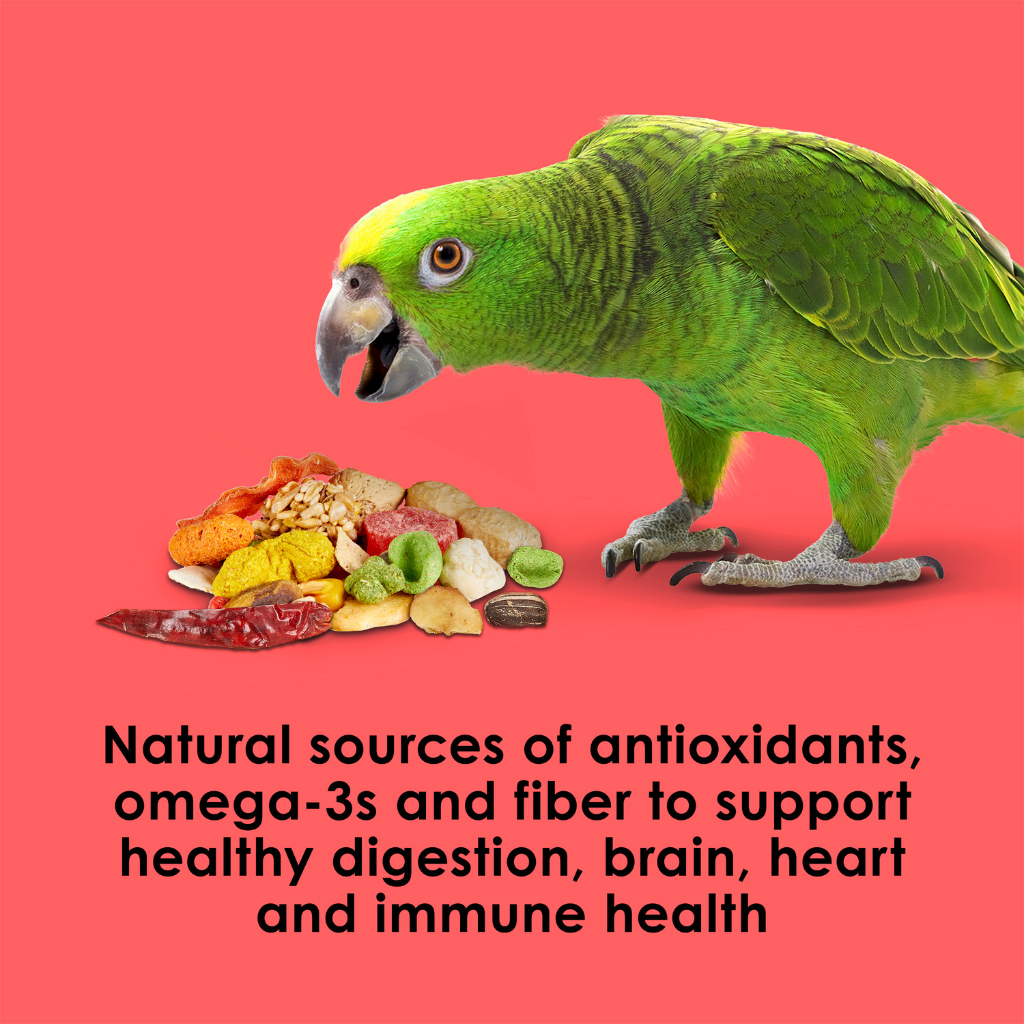 Kaytee Fiesta Parrot Bird Food