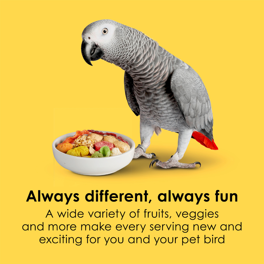 Kaytee Fiesta Parrot Bird Food