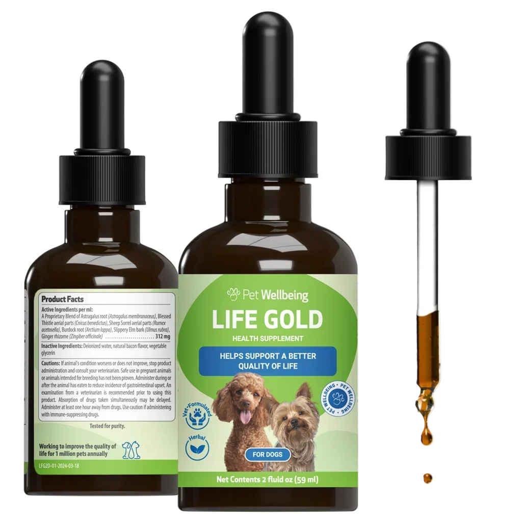Life Gold - Trusted Care for Dog Cancer