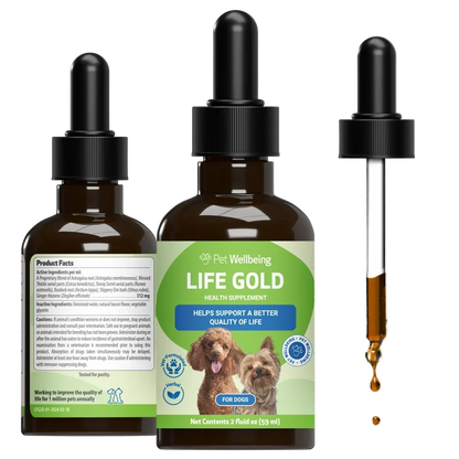 Life Gold - Trusted Care for Dog Cancer