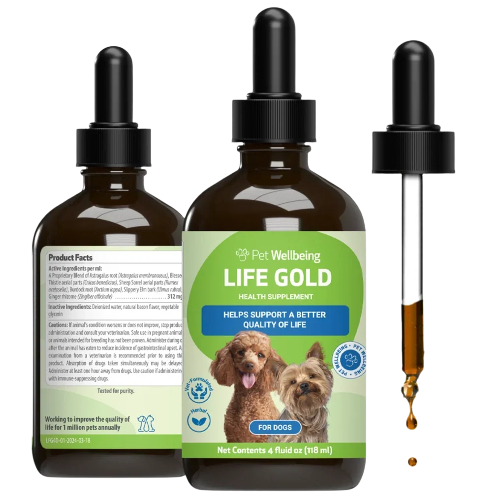 Life Gold - Trusted Care for Dog Cancer