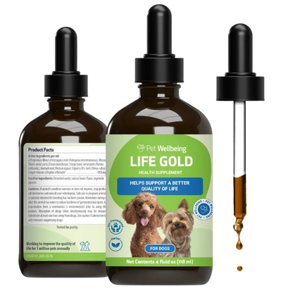 Life Gold - Trusted Care for Dog Cancer