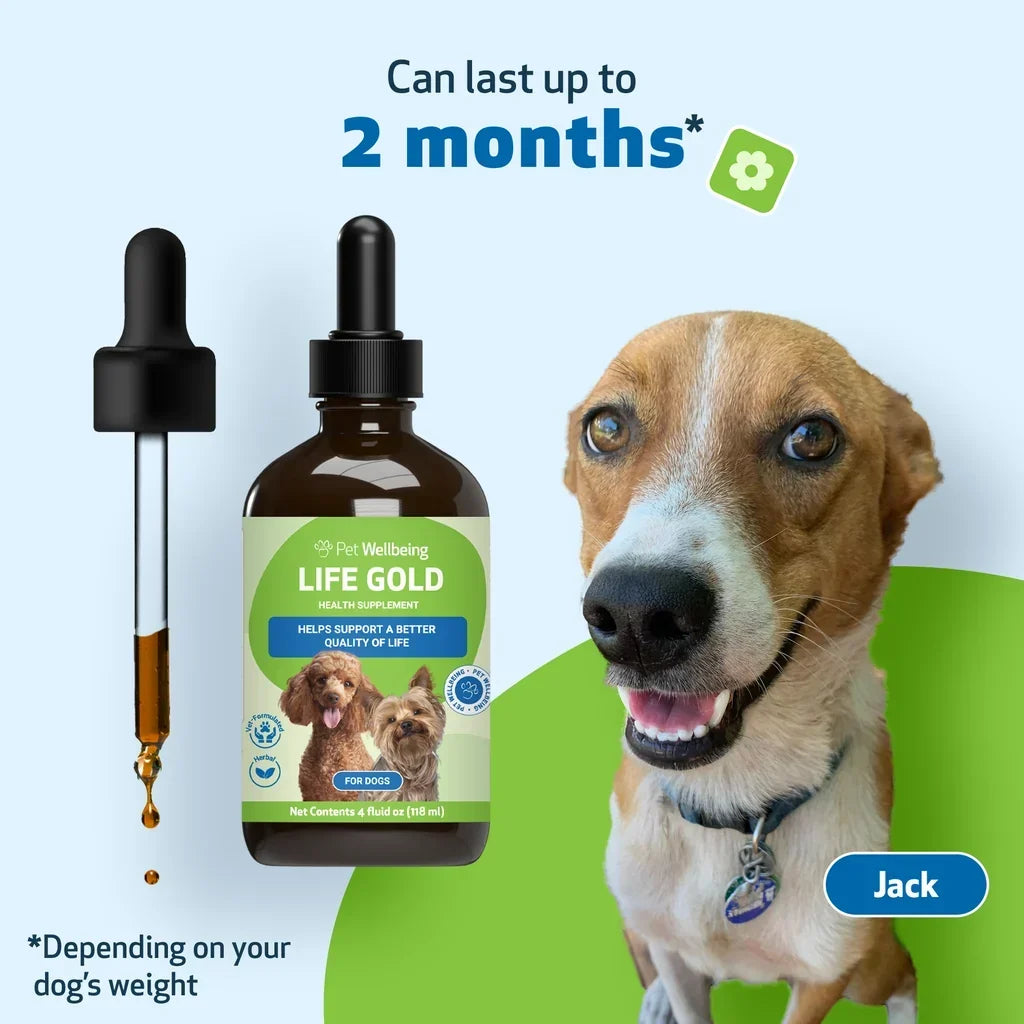 Life Gold - Trusted Care for Dog Cancer