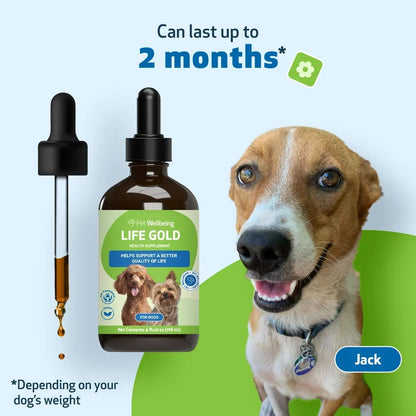 Life Gold - Trusted Care for Dog Cancer