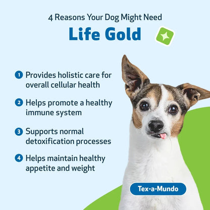 Life Gold - Trusted Care for Dog Cancer