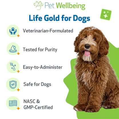 Life Gold - Trusted Care for Dog Cancer
