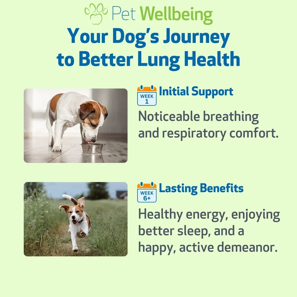 Lung Gold - Lower Respiratory Tract Support for Dogs