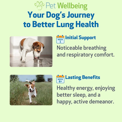 Lung Gold - Lower Respiratory Tract Support for Dogs