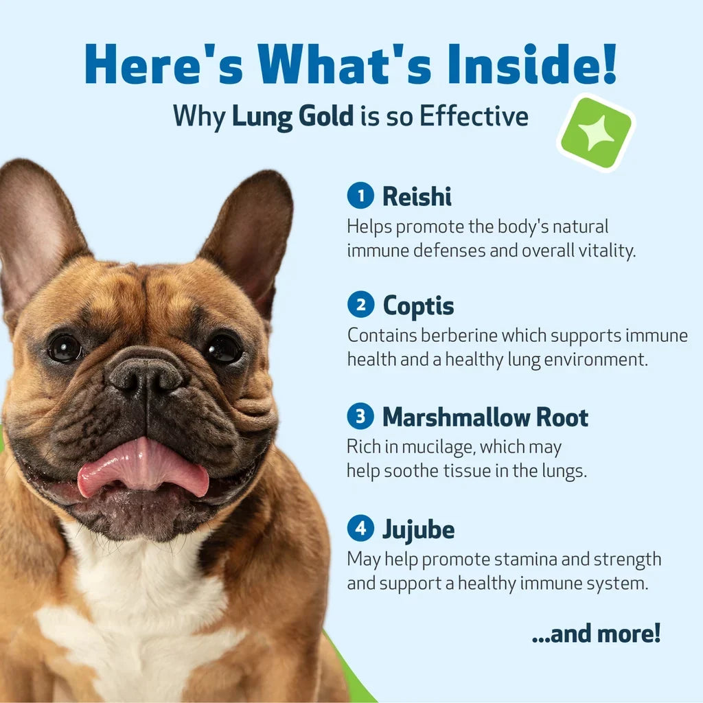 Lung Gold - Lower Respiratory Tract Support for Dogs