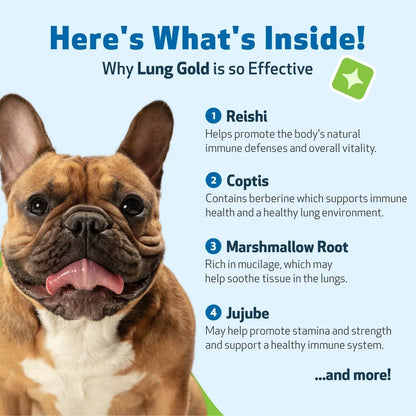 Lung Gold - Lower Respiratory Tract Support for Dogs