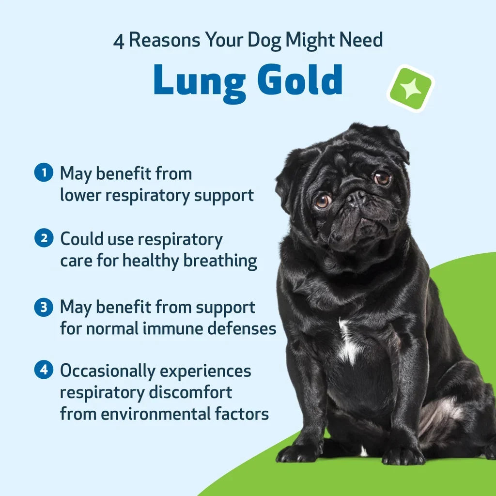 Lung Gold - Lower Respiratory Tract Support for Dogs