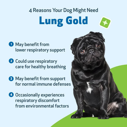Lung Gold - Lower Respiratory Tract Support for Dogs