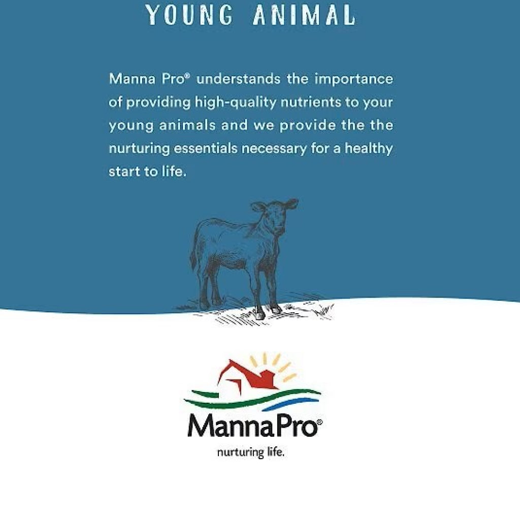 Manna Pro Alfalfa & Molasses Bite-Sized Nugget Treats for Horses