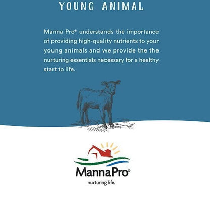 Manna Pro Alfalfa & Molasses Bite-Sized Nugget Treats for Horses