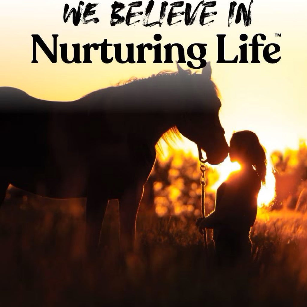 Manna Pro Alfalfa & Molasses Bite-Sized Nugget Treats for Horses