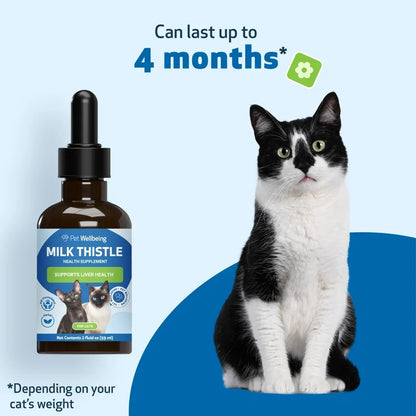 Milk Thistle - for Healthy Liver Function in Cats