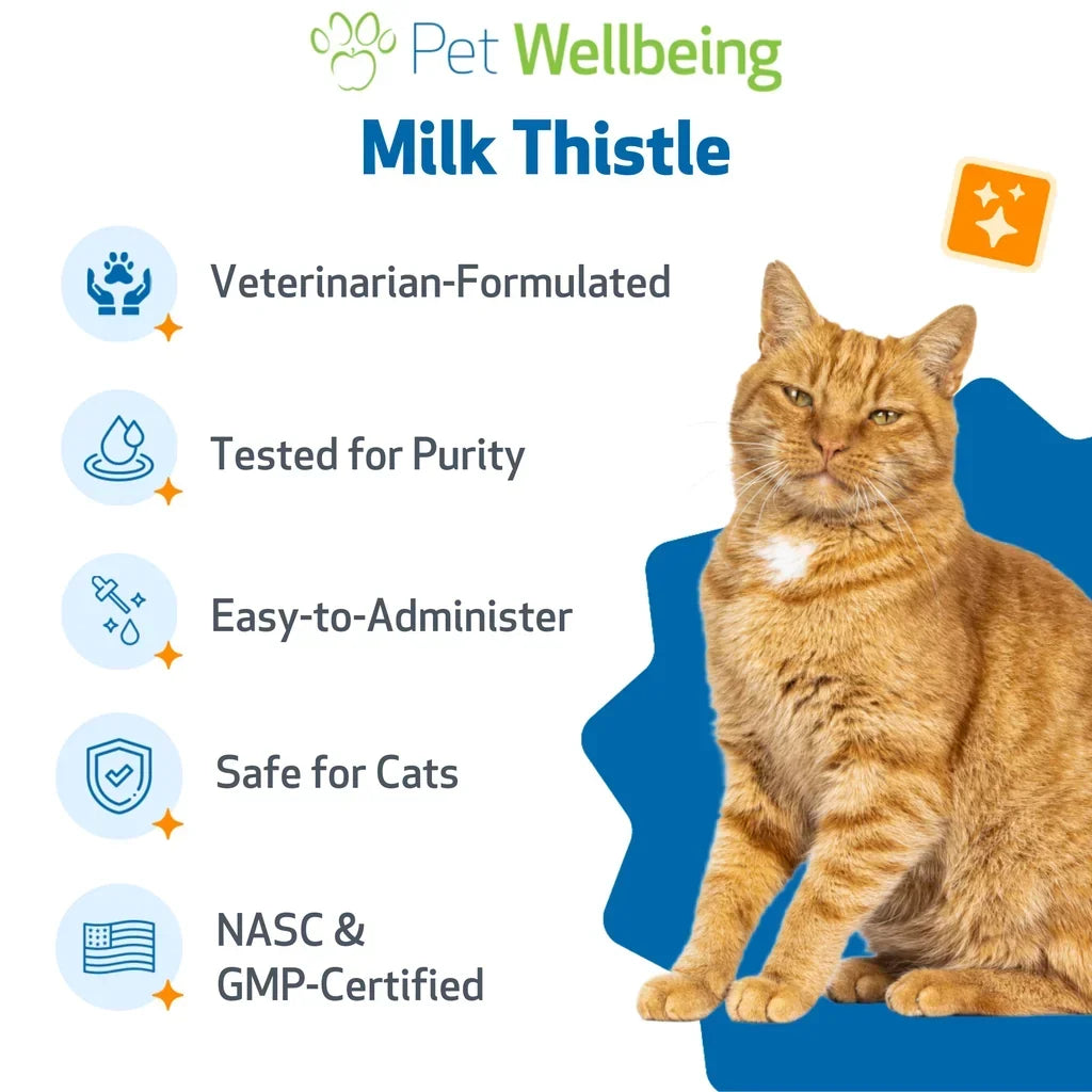 Milk Thistle - for Healthy Liver Function in Cats