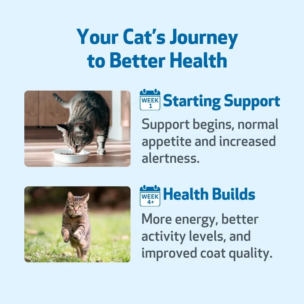 Milk Thistle - for Healthy Liver Function in Cats