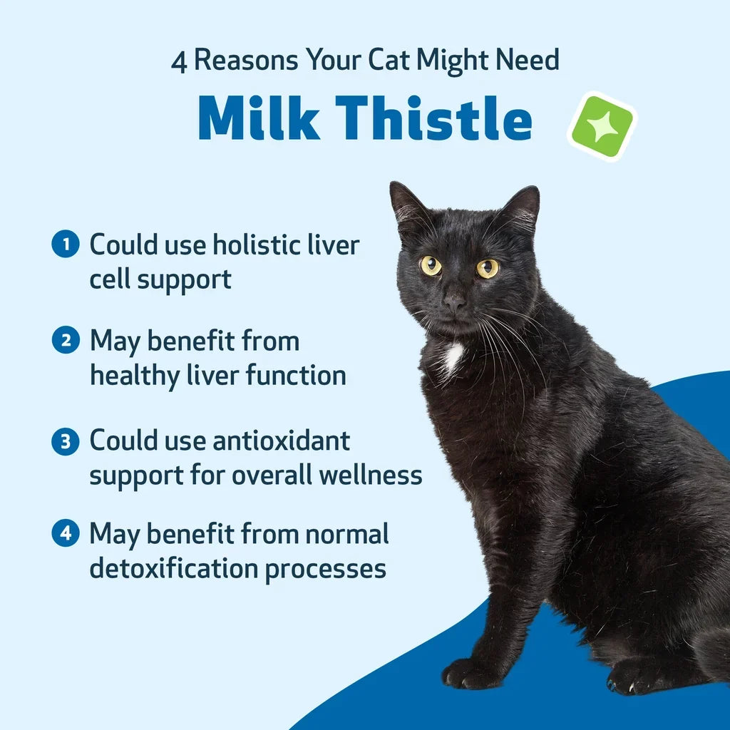 Milk Thistle - for Healthy Liver Function in Cats