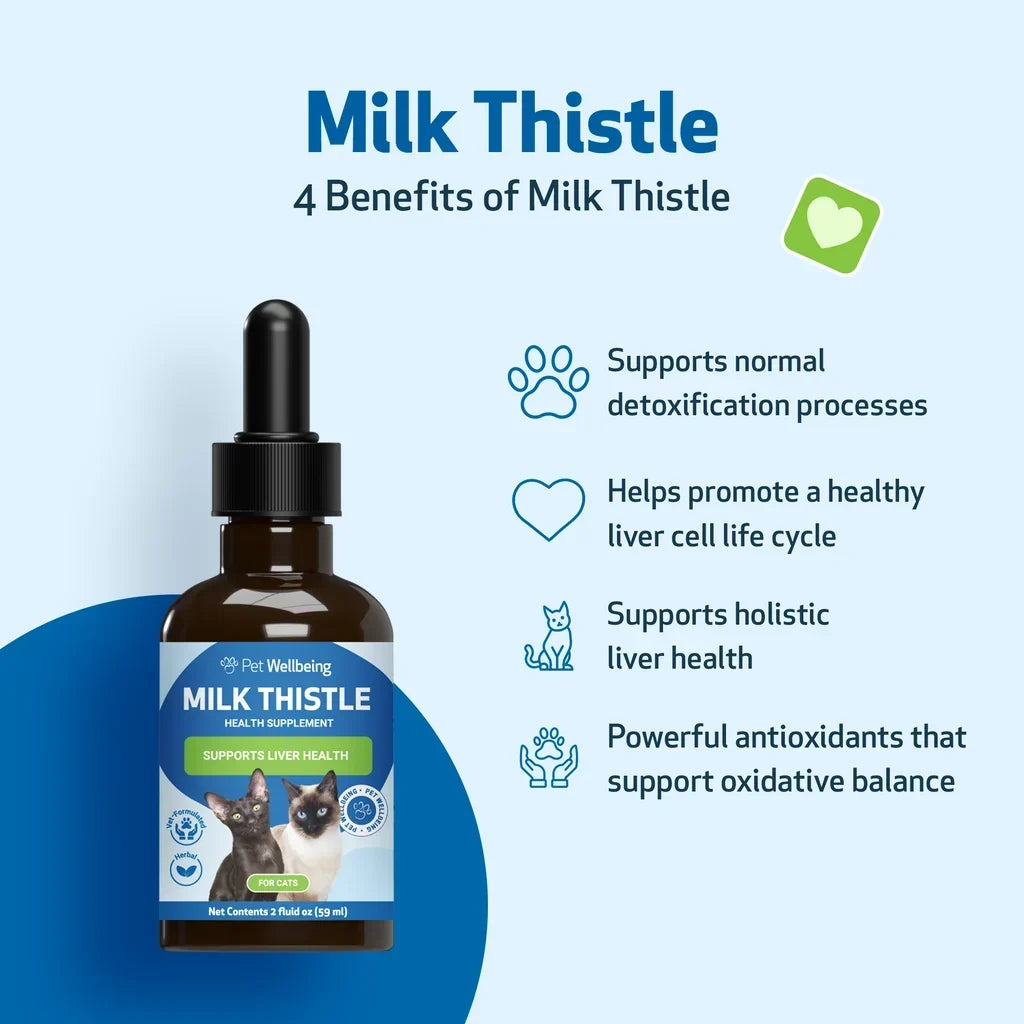 Milk Thistle - for Healthy Liver Function in Cats