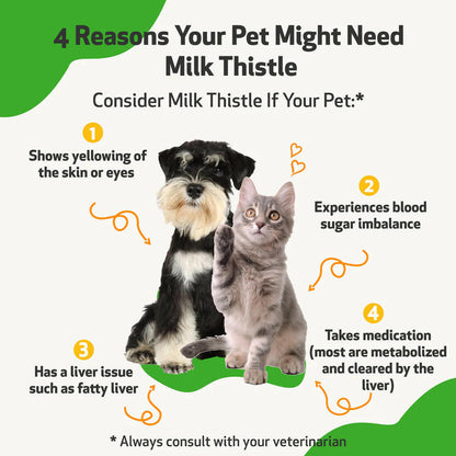 Milk Thistle - for Healthy Liver Function in Cats