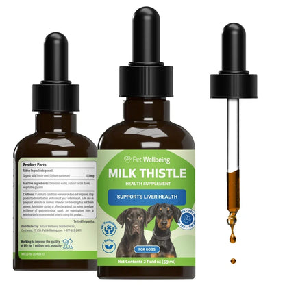Milk Thistle Supplement for Healthy Liver Function in Dogs