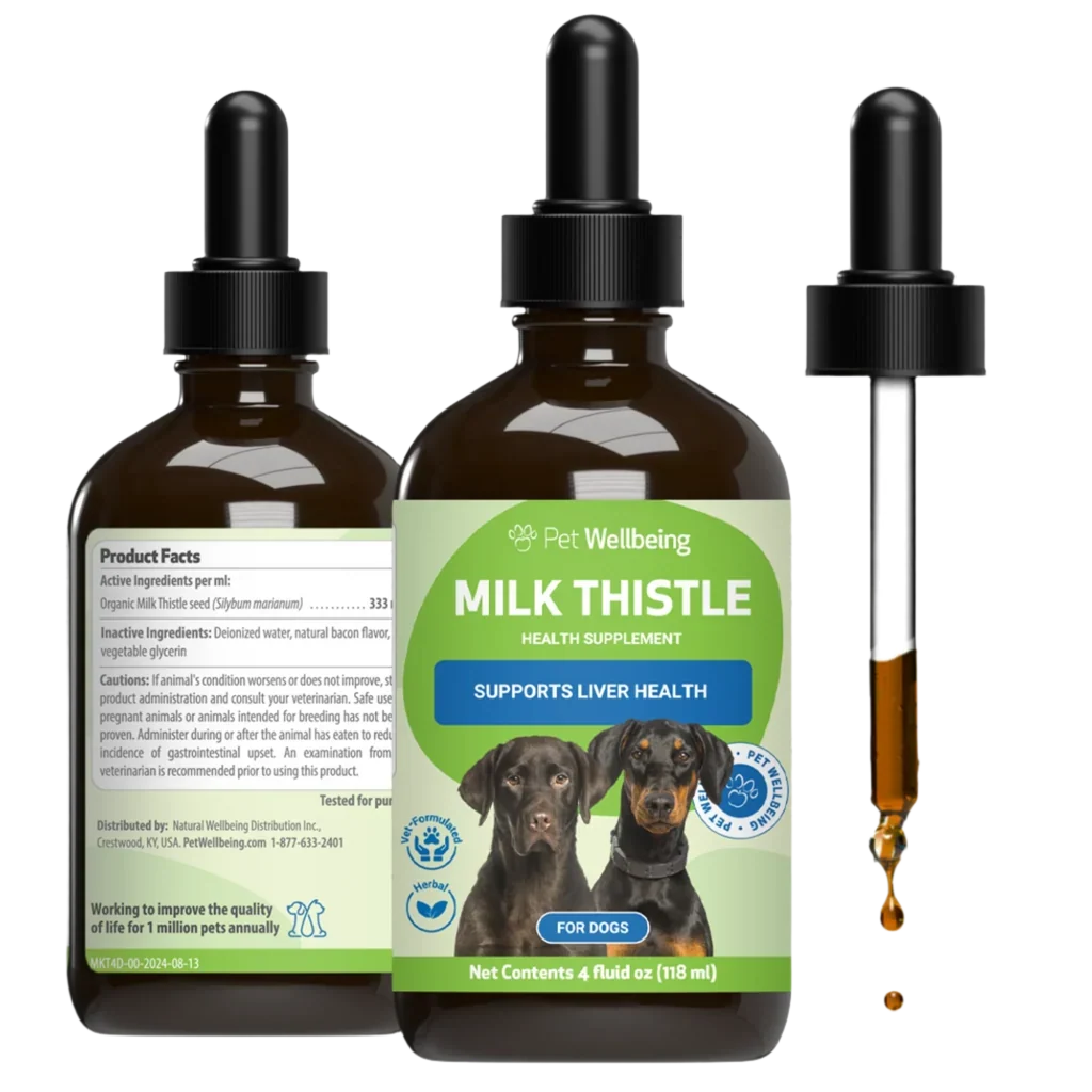 Milk Thistle Supplement for Healthy Liver Function in Dogs
