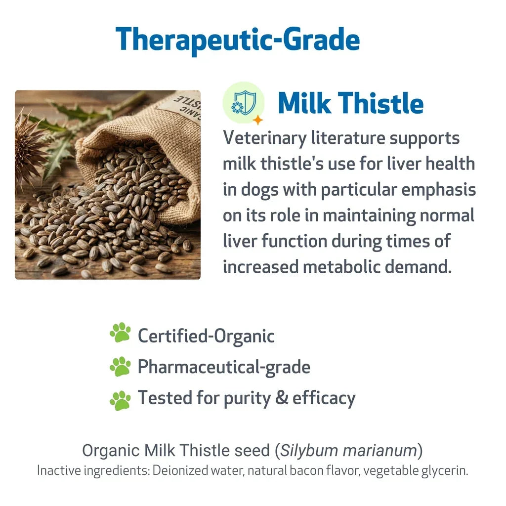 Milk Thistle Supplement for Healthy Liver Function in Dogs
