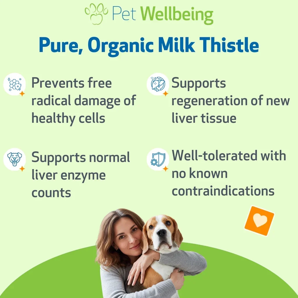 Milk Thistle Supplement for Healthy Liver Function in Dogs