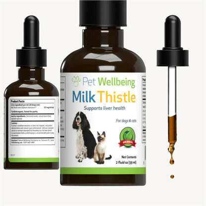 Milk Thistle Supplement for Healthy Liver Function in Dogs