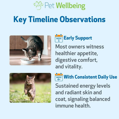 Mushroom Immune Gold - Holistic Cancer Support for Cats (8 oz)