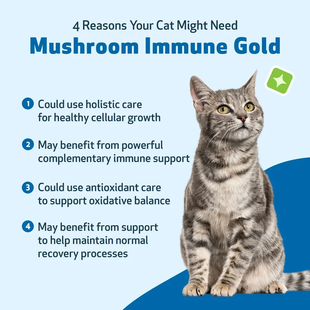 Mushroom Immune Gold - Holistic Cancer Support for Cats (8 oz)
