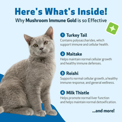 Mushroom Immune Gold - Holistic Cancer Support for Cats (8 oz)