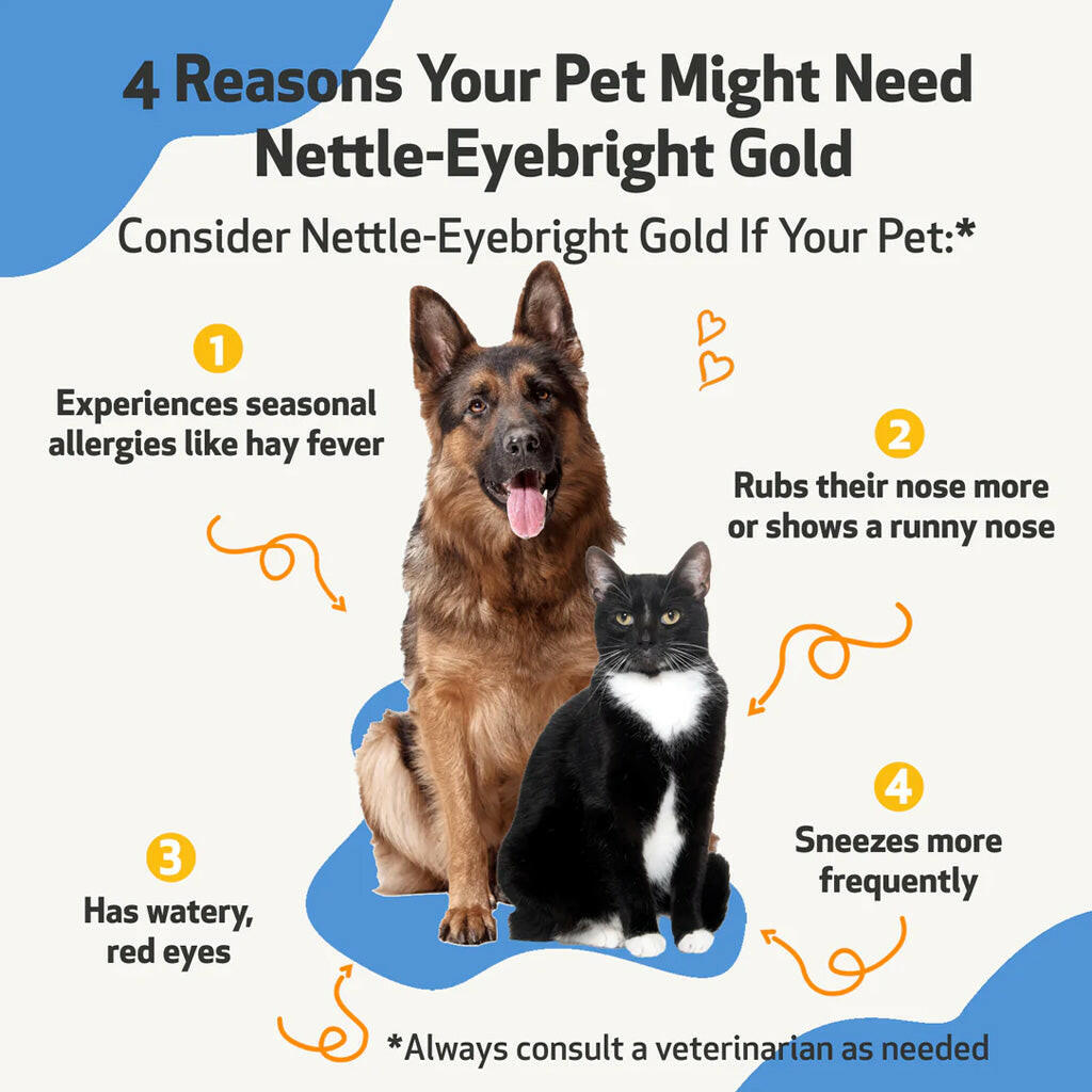 Nettle-Eyebright Gold - Seasonal Allergy Defense for Cats