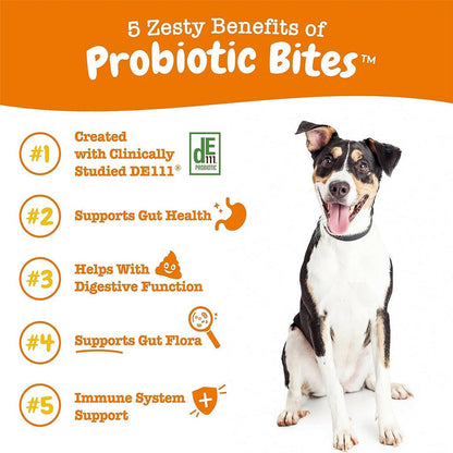 Zesty Paws Probiotic Bites Chicken Flavored Chews for Dogs (90 ct)