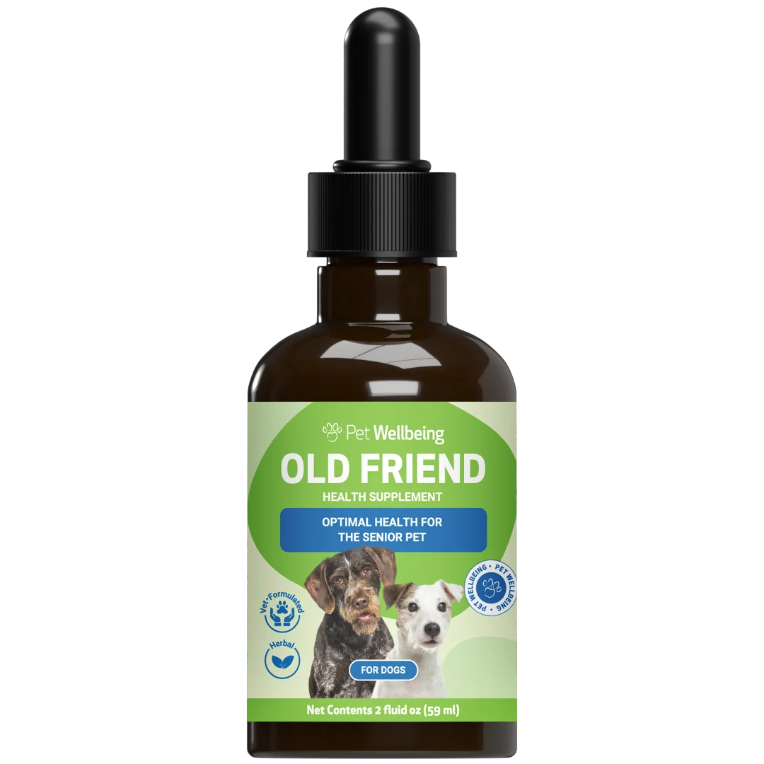 Old Friend for Senior Dogs