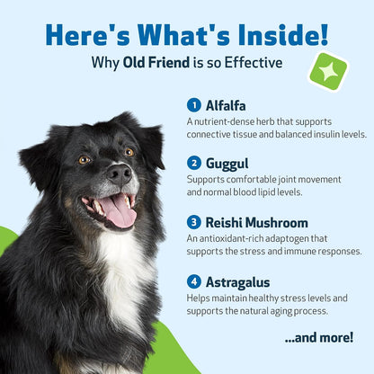 Old Friend for Senior Dogs (4 oz)