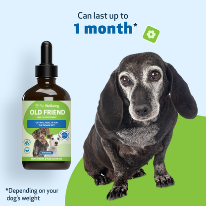 Old Friend for Senior Dogs