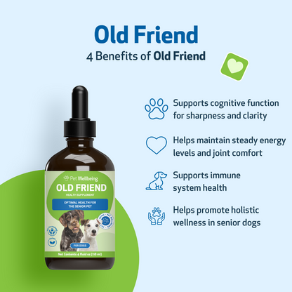 Old Friend for Senior Dogs