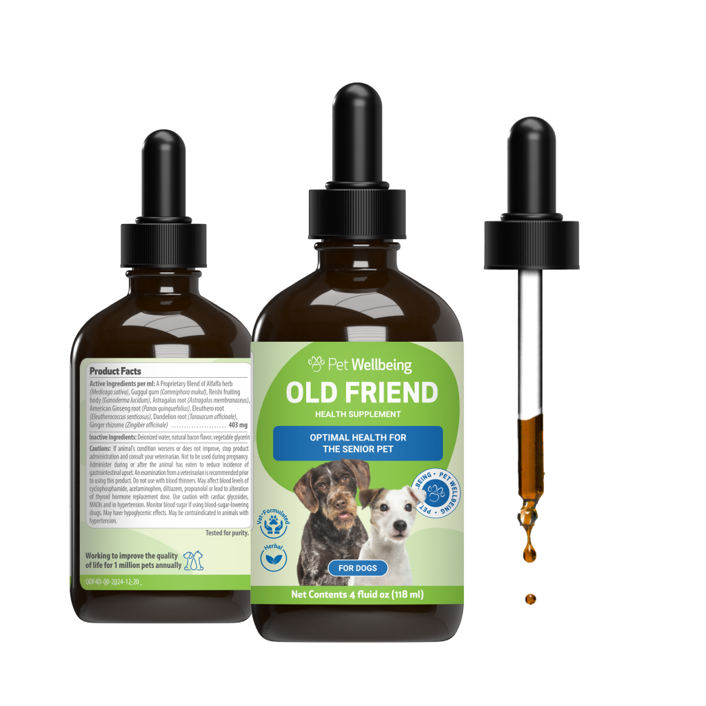 Old Friend for Senior Dogs