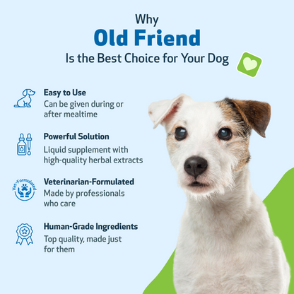 Old Friend for Senior Dogs