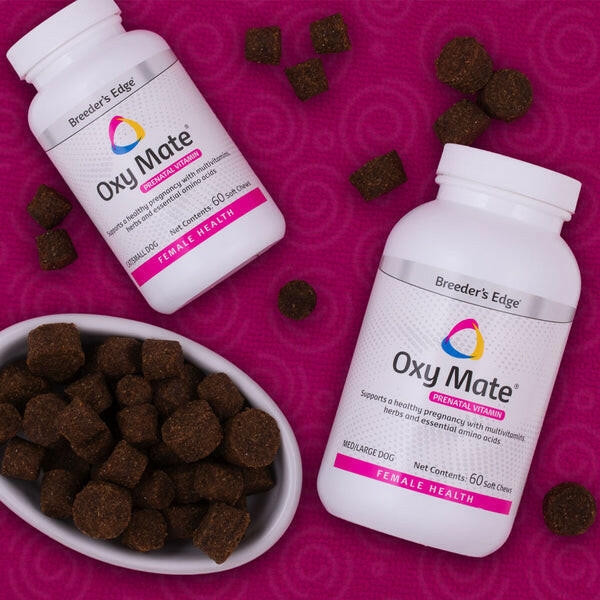 Oxy Mate Soft Chews -Prenatal Vitamins For Small Dogs & Cats