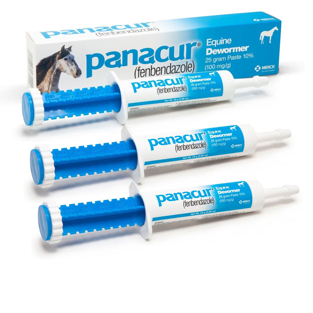 Panacur Equine Paste 10% Horse Dewormer, 25g