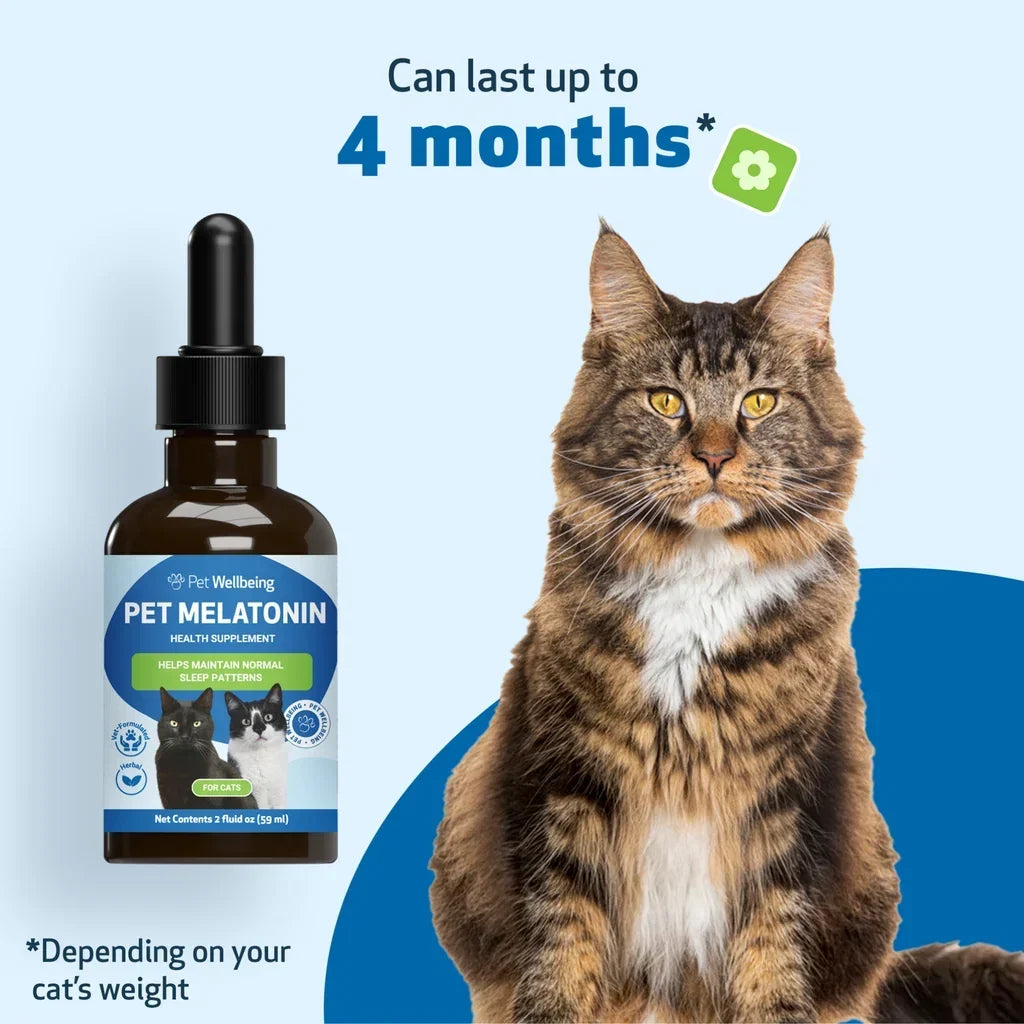 Pet Melatonin for Cats (2 oz)